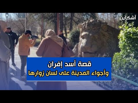 قصة أسد  إفران وأجواء المدينة على لسان زوارها