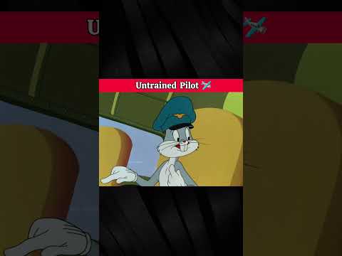 Untrained Pilot