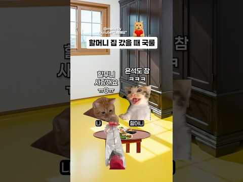 할머니 집에서 무조건 해본 경험 베스트 ㅋㅋㅋㅋㅋ