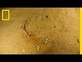 Underwater Caves and Extinct Sloths