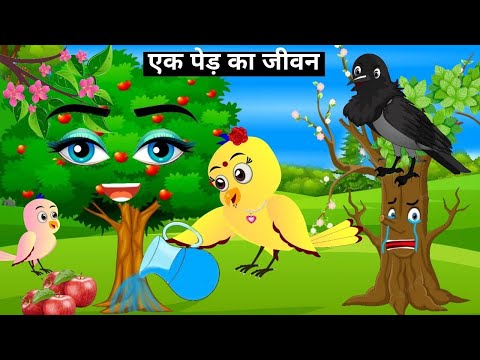 Rano Chidiya कार्टून |Tuni Chidiya Cartoon Hindi | cartoon |Chichu Tv Official |Hindi Cartoon Kahani