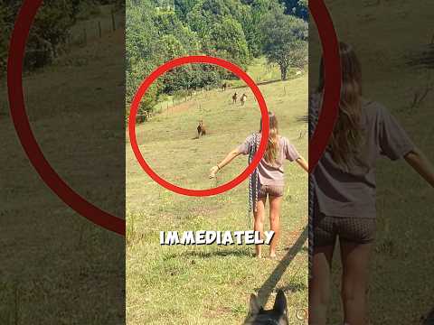 Smart Horseโs Sweet Surprise ๐๐