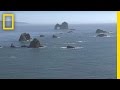 Exploring Ken Kesey's Reflections on the Oregon Coast