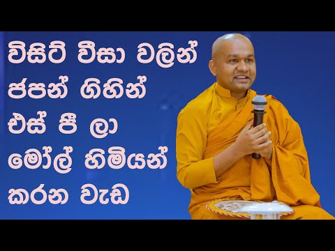 විසිට් වීසා වලින් ජපන් ගිහින් එස් පී ලා මෝල් හිමියන් කරන වැඩ | Mawarale Bhaddiya Himi Bana