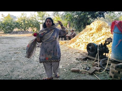 aj ki video ma Kuch Tu khus ha|village traditional food|village routine work