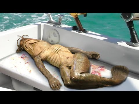 7 COISAS MAIS ESTRANHAS DESCOBERTAS RECENTEMENTE