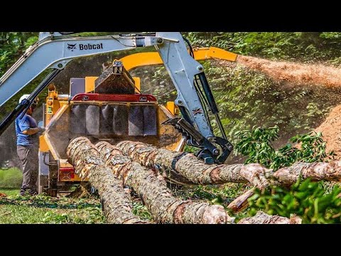 Incredible Dangerous Fastest Large Wood Shredder Equipment , Fastest Tree Shredder Machines Working