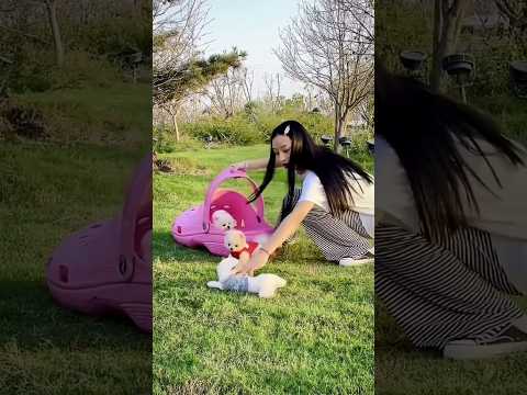 ๐#Allโโ My Pets, One Big Hug#Caughtโโ with a Handful of Happiness#Fluffyโโ Squad Goals#shorts