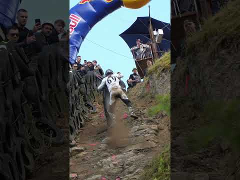 Electric Dirt Bike Sur-Ron Ultra Bee at Impossible Climb Andler 2025
