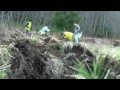Deforestation and Carbon Management Concepts