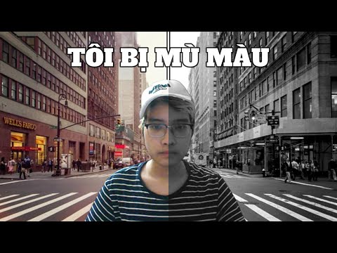 Mù Màu Khổ Vãi Cức