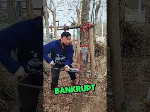 This farmer was bankrupt and did this! 🧑‍🌾 #shorts