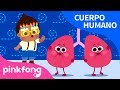 Cuestionario sobre Respiración y Pulmones