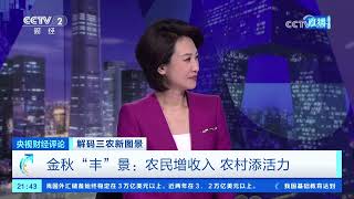 《央视财经评论》 20250923 解码三农新图景 金秋“丰”景：农民增收入 农村添活力 |  财经风云