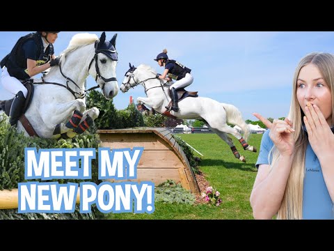 We've bought a new pony! * HUGE shock! *
