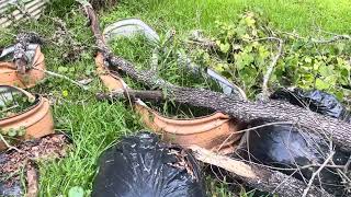 Homesteading Setbacks…This Could Happen to You too….