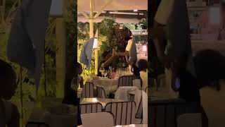 Kylian & Ethan Mbappé in a Parisian restaurant 🍽️😎⚽ #realmadrid #france #kyks #theboss