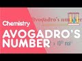 Understanding Avogadro's Concepts