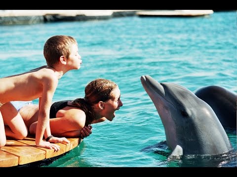 The Eilat Dolphin Reef