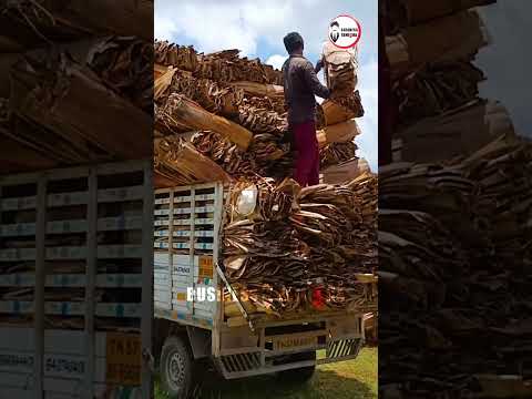 Unveiling the secrets behind Paakku Mattai Business in our latest interview! ?