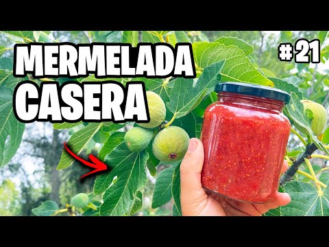 La Mejor MERMELADA Casera y SIN AZÚCAR!! + Riego Automático 💦 Vlog #21  La Huerta de Ivan