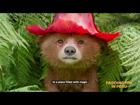Paddington in Peru - A land of unforgettable adventures!