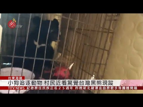 台灣黑熊幼熊現蹤廣原村 林管處籲勿打擾 2019-07-28 IPCF-TITV 原文會 原視新聞 - YouTube(1分45秒)