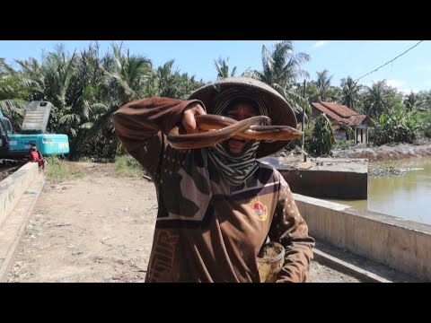 Medan paling sulit "TERSEMBUNYI MOSTER BELUT"