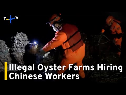 YouTube video thumbnail: Concern Over Illegal Oyster Fishing off Kinmen