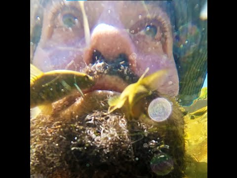 Kangal Balıklı Kaplıca @GoPro @GoProWorldOfficial