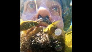 Kangal Balıklı Kaplıca @GoPro @GoProWorldOfficial