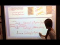 Functional Groups and Organic Chemistry Concepts