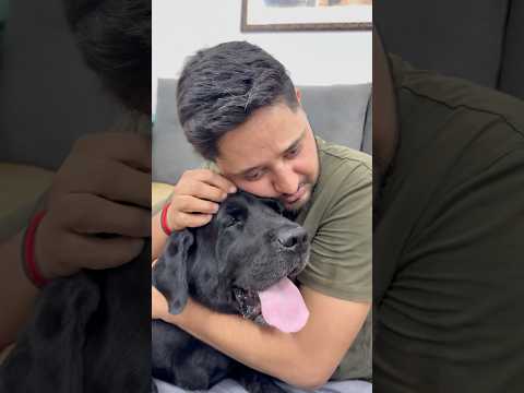 Doglovers Can Feel #doglover #lucky