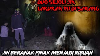AWAL MULA JIN BERKEMBANG BIAK-SARANG JIN KEPERGOK DUA SEJOLI SEDANG BERBUAT