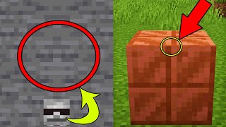 20 Detail Minecraft Yang Tidak Bisa Kalian Tidak Lihat