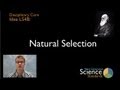 Exploring Natural Selection and Evolution