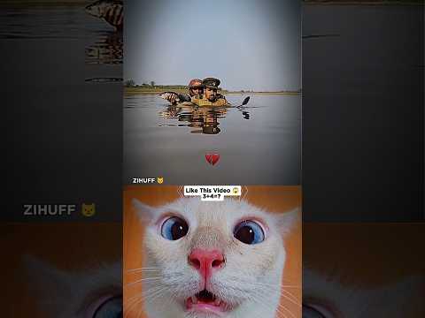Day- 10 Funny Video... ☠️