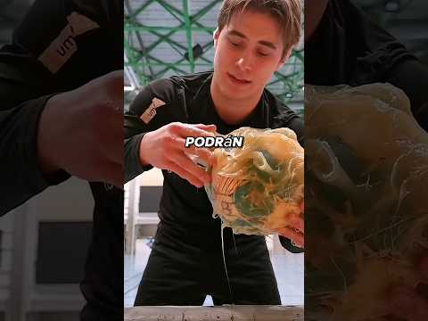 Intentaron hacer trampa, pero todos se enteraron...