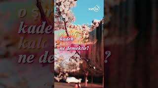 Meyhanede Sarhoş Olunmaz I Metin Akpınar İle Uzun Lafın Kısası