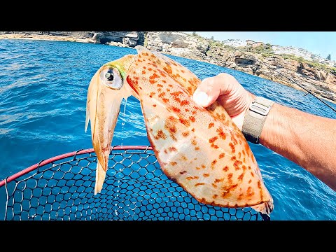 We Caught The Big Ones! Giant Squid CATCH And COOK