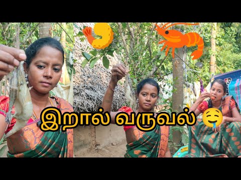 இறால் 🦐🍤 வருவல் 🤤 #village# #villageboy2809# ...