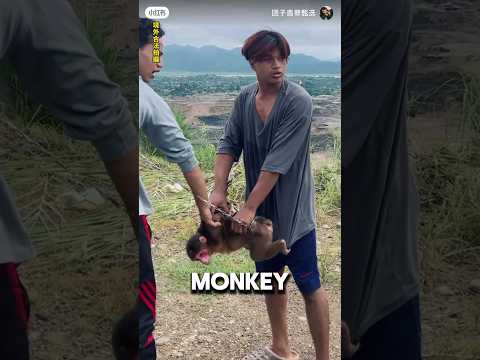 Girl Saves Monkey From Unfortunate Fate ❤️#animalshorts #animals #wholesome