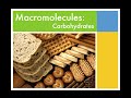 Exploring Carbohydrates in Macromolecules