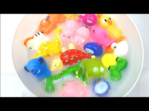 Learn Color & name of DINOSAUR Sea Animals Wild Animals English Korean 바다동물 공룡 야생동물 색깔 이름 배우기 영어 한국어