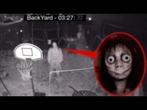 MOMO INTERRUPTED OUR HIDE & SEEK AT 3AM.. **SCARY**