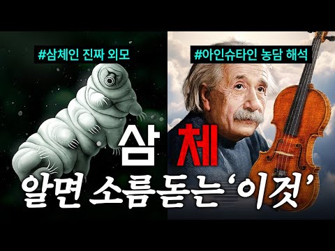 [삼체] 머리 아팠던 장면들 해석해봤습니다 (주관적) 예원제가 건넨 아인슈타인 농담의 정체부터, 침묵의 봄은 무슨 의미인지? 열심히 팠어요ㅣ삼체 해석, 삼체 요약