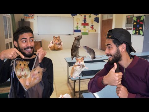 التلاميذ فاش كيبغيو يضحكو مع الأستاذ