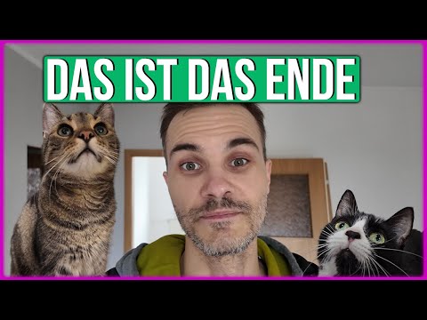 Die Katzen und ich sagen vielen Dank für alles - Das war eine Wahnsinns Reise ❤️