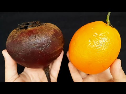 LA PREMIÈRE RECETTE ‼️Pour Renforcer l'Immunité, Stimuler la Circulation Sanguine, Purifier le Corps