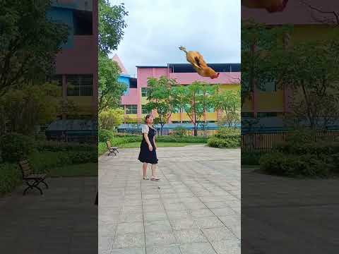 I accidentally kicked the chicken to the beauty. Video production share interesting videos